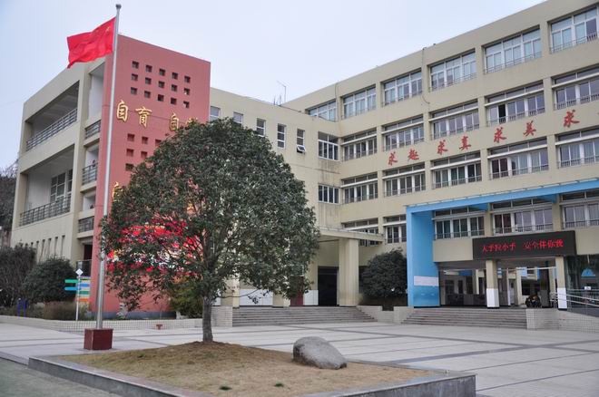 合肥市南門(mén)小學(xué)上城國(guó)際分校介紹
